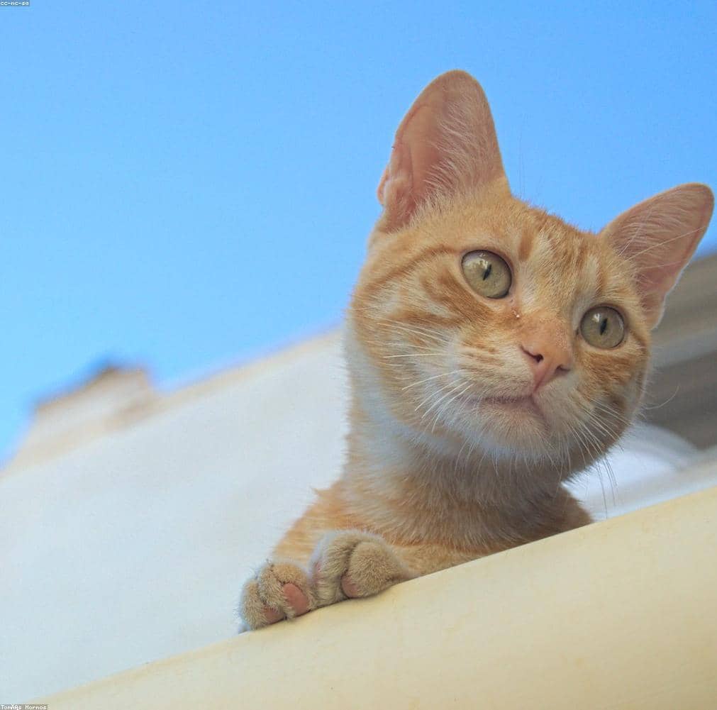 Test_GXTXcczVqE